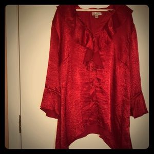 Beautiful, festive Dress Barn 2X Blouse